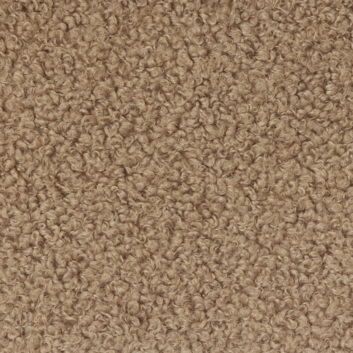 Himalaya Camel Grade C | Verellen Fabric Sample