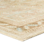 The Magnus design features a traditional pattern of small medallions set against a warm tan and beige backdrop, highlighted by subtle blue accents. Its vintage, distressed finish adds character and charm, making it feel like a treasured heirloom from the very first step.Hand Tufte Amethyst Home provides interior design, new home construction design consulting, vintage area rugs, and lighting in the Charlotte metro area.