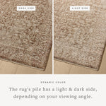 The Newman Collection is a power-loomed area rug made of soft space-dyed polyester, which lends a subtle gradation of color in an easy-to-clean, no-shed construction. The versatile, vintage-inspired design features distressed white motifs against lovely and light tonal backgrounds. Amethyst Home provides interior design, new home construction design consulting, vintage area rugs, and lighting in the Park City metro area.