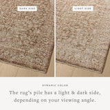 The Newman Collection is a power-loomed area rug made of soft space-dyed polyester, which lends a subtle gradation of color in an easy-to-clean, no-shed construction. The versatile, vintage-inspired design features distressed white motifs against lovely and light tonal backgrounds. Amethyst Home provides interior design, new home construction design consulting, vintage area rugs, and lighting in the Park City metro area.
