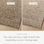 The Newman Collection is a power-loomed area rug made of soft space-dyed polyester, which lends a subtle gradation of color in an easy-to-clean, no-shed construction. The versatile, vintage-inspired design features distressed white motifs against lovely and light tonal backgrounds. Amethyst Home provides interior design, new home construction design consulting, vintage area rugs, and lighting in the Nashville metro area.