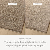The Newman Collection is a power-loomed area rug made of soft space-dyed polyester, which lends a subtle gradation of color in an easy-to-clean, no-shed construction. The versatile, vintage-inspired design features distressed white motifs against lovely and light tonal backgrounds. Amethyst Home provides interior design, new home construction design consulting, vintage area rugs, and lighting in the Nashville metro area.