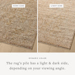The Newman Collection is a power-loomed area rug made of soft space-dyed polyester, which lends a subtle gradation of color in an easy-to-clean, no-shed construction. The versatile, vintage-inspired design features distressed white motifs against lovely and light tonal backgrounds. Amethyst Home provides interior design, new home construction design consulting, vintage area rugs, and lighting in the Park City metro area.