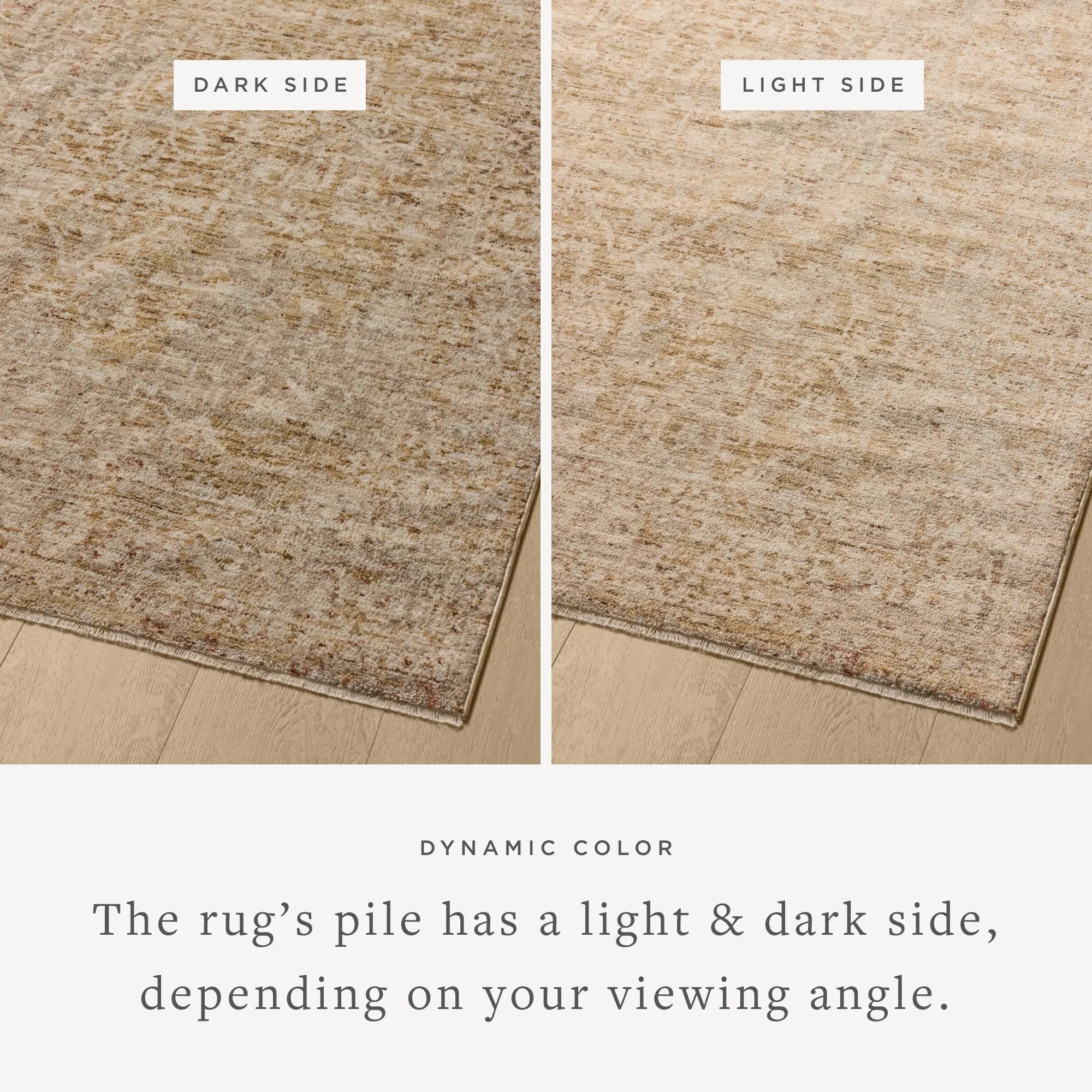 The Newman Collection is a power-loomed area rug made of soft space-dyed polyester, which lends a subtle gradation of color in an easy-to-clean, no-shed construction. The versatile, vintage-inspired design features distressed white motifs against lovely and light tonal backgrounds. Amethyst Home provides interior design, new home construction design consulting, vintage area rugs, and lighting in the Park City metro area.