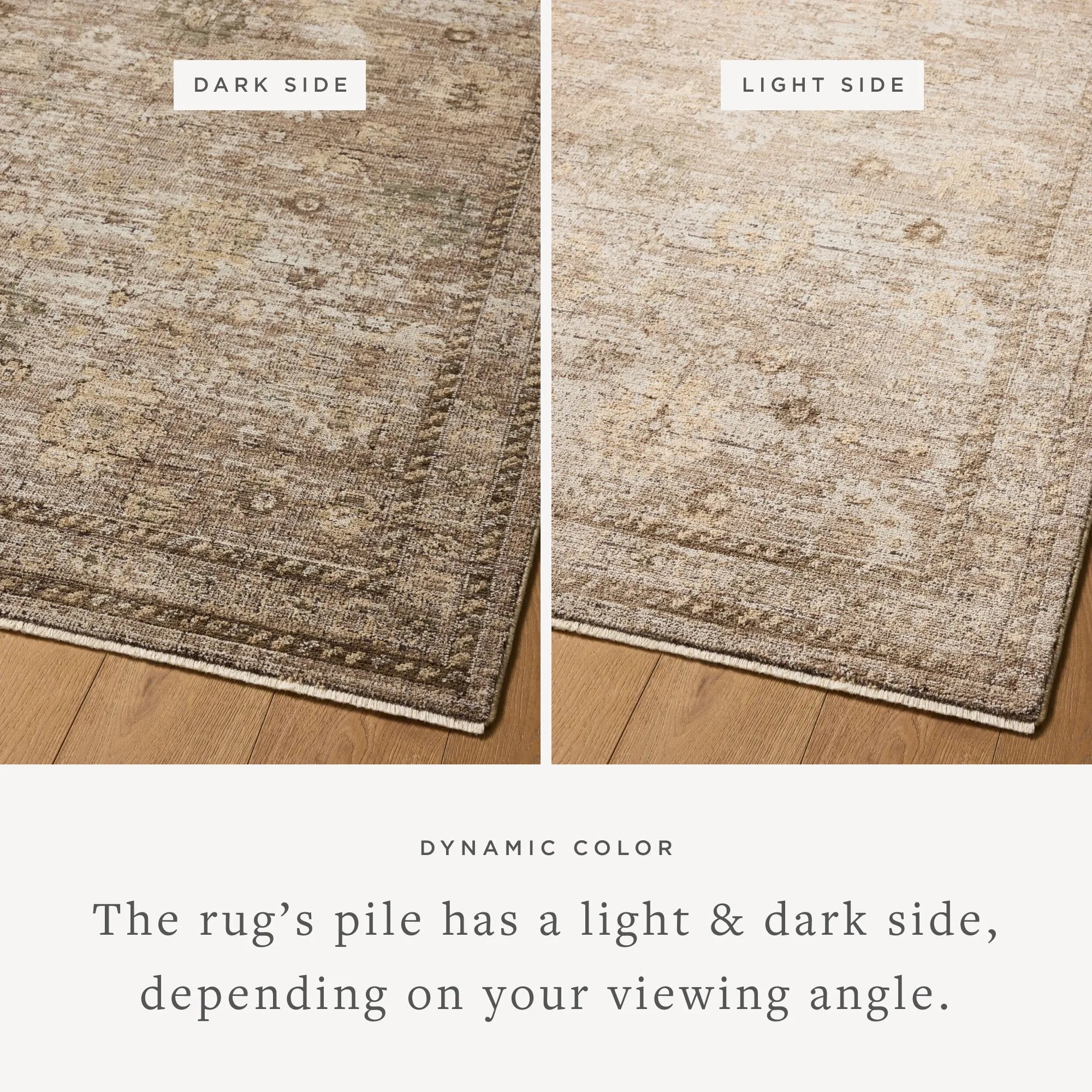 Featuring Priscilla Sand / Earth Rug by Loloi at Amethyst Home. Transform your living space into a luxurious retreat with the Priscilla Bark/Ivory Rug. Made of premium materials, this rug adds elegance and sophistication to any room. Its soft, textured surface and neutral color palette create a cozy and inviting atmosphere. Elevate your home decor with this exq. Amethyst Home provides interior design, new home construction design consulting, vintage area rugs, and lighting in the Tampa metro area.