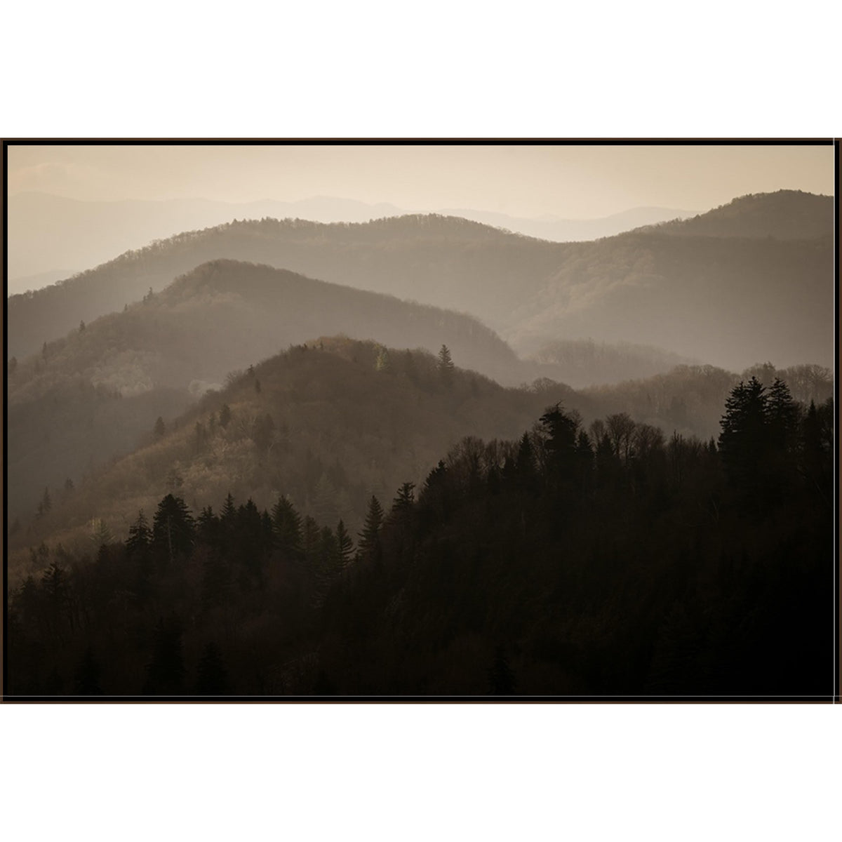 Majestic Vistas I Art