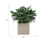 Aglaonema, Faux Greenery, 39 Amethyst Home provides interior design, new home construction design consulting, vintage area rugs, and lighting in the Alpharetta metro area.