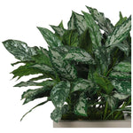 Aglaonema, Faux Greenery, 39 Amethyst Home provides interior design, new home construction design consulting, vintage area rugs, and lighting in the Los Angeles metro area.