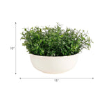 Designed for exterior spaces, this UV-rated product delivers all-season beauty and luxury. Perfect for patios, decks, entryways, or any outdoor living area. Create a luxurious atmosphere with this green Herb, housed in a Pottery Bowl. Amethyst Home provides interior design, new home construction design consulting, vintage area rugs, and lighting in the Winter Garden metro area.
