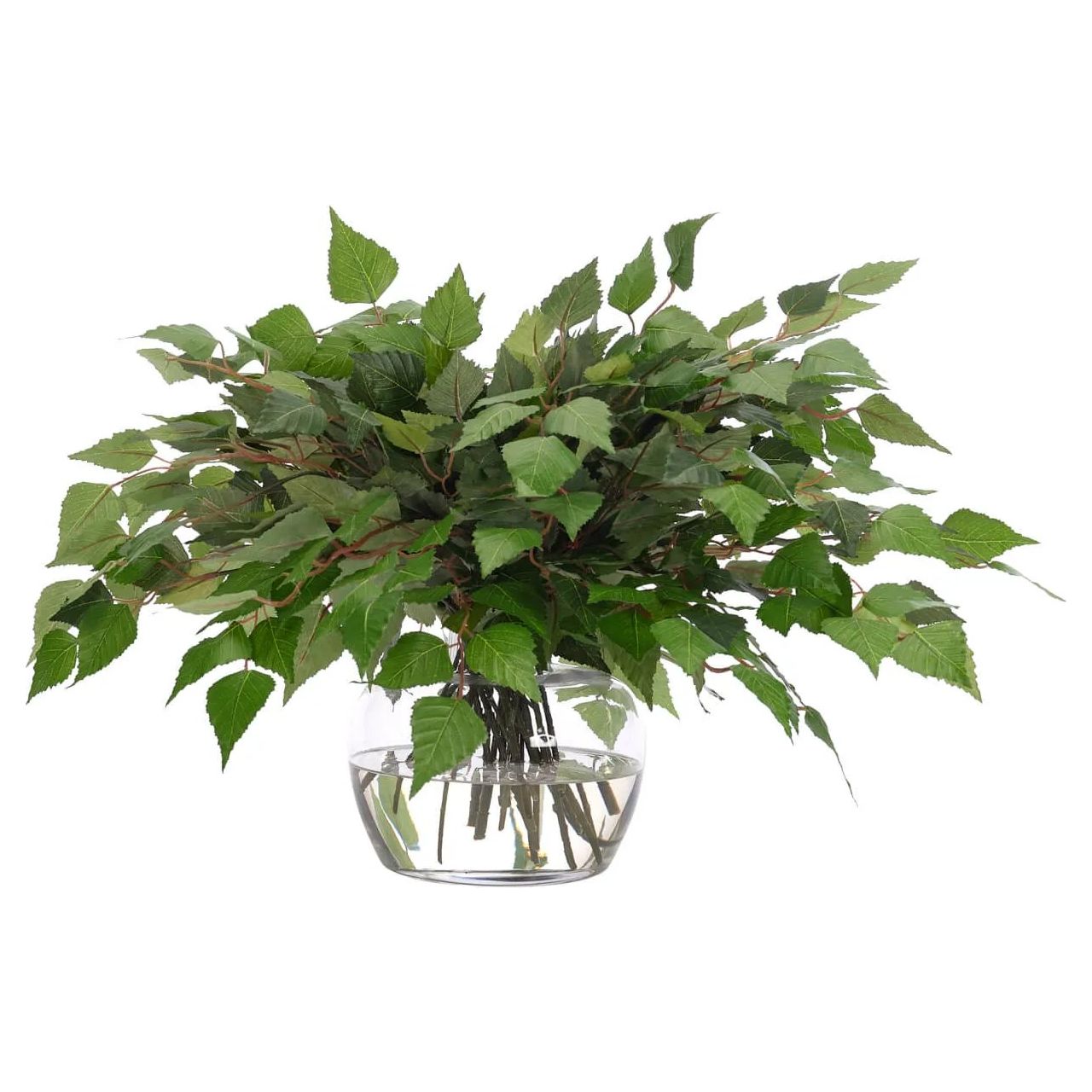 Create a luxurious atmosphere with this green Birch Leaf, housed in a glass vase. At 15", this piece captures the natural beauty of each petal, making it ideal for brightening up office desks or kitchen countertops. Admire the lifelike blooms and rich foliage, providing a timeless touch to your home's ambiance Amethyst Home provides interior design, new home construction design consulting, vintage area rugs, and lighting in the Park City metro area.