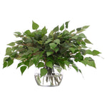 Create a luxurious atmosphere with this green Birch Leaf, housed in a glass vase. At 15", this piece captures the natural beauty of each petal, making it ideal for brightening up office desks or kitchen countertops. Admire the lifelike blooms and rich foliage, providing a timeless touch to your home's ambiance Amethyst Home provides interior design, new home construction design consulting, vintage area rugs, and lighting in the Park City metro area.