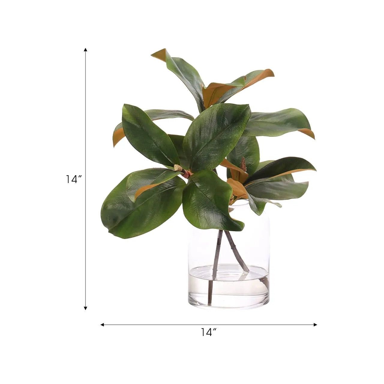 Create a luxurious atmosphere with this green Magnolia Branch, housed in a glass cylinder. With a height of 14", this arrangement offers a striking and elegant presence, blending seamlessly with seasonal or year-round decor. Experience the charm of this arrangement, maintenance-free and ideal for those who love fresh, vibrant decor Amethyst Home provides interior design, new home construction design consulting, vintage area rugs, and lighting in the Alpharetta metro area.