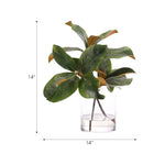Create a luxurious atmosphere with this green Magnolia Branch, housed in a glass cylinder. With a height of 14", this arrangement offers a striking and elegant presence, blending seamlessly with seasonal or year-round decor. Experience the charm of this arrangement, maintenance-free and ideal for those who love fresh, vibrant decor Amethyst Home provides interior design, new home construction design consulting, vintage area rugs, and lighting in the Alpharetta metro area.