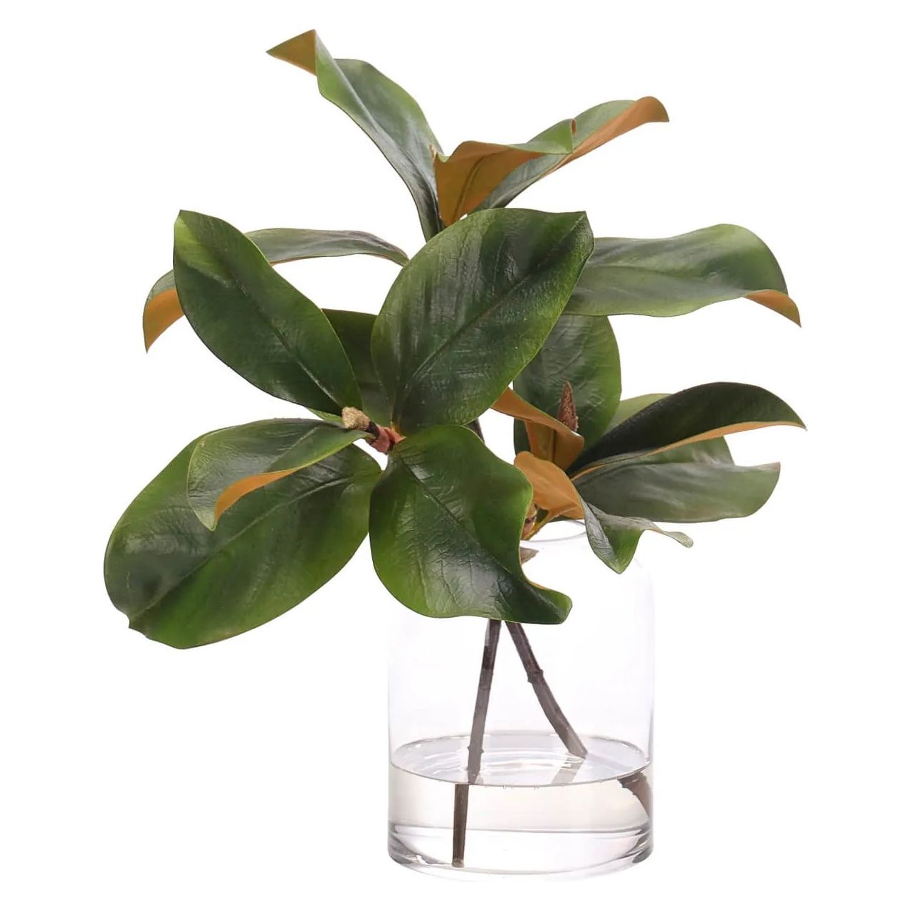 Create a luxurious atmosphere with this green Magnolia Branch, housed in a glass cylinder. With a height of 14", this arrangement offers a striking and elegant presence, blending seamlessly with seasonal or year-round decor. Experience the charm of this arrangement, maintenance-free and ideal for those who love fresh, vibrant decor Amethyst Home provides interior design, new home construction design consulting, vintage area rugs, and lighting in the Kansas City metro area.