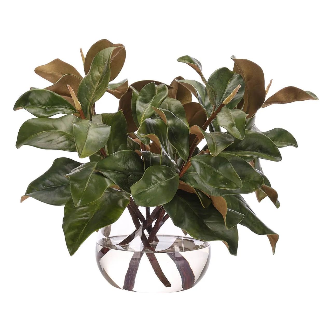 Add a burst of elegance with the green Magnolia Branch, set in a glass vase. Standing at 15", this lifelike faux design adds sophistication, perfect for a dining table centerpiece or console display. Experience the charm of this arrangement, maintenance-free and ideal for those who love fresh, vibrant decor Amethyst Home provides interior design, new home construction design consulting, vintage area rugs, and lighting in the Park City metro area.