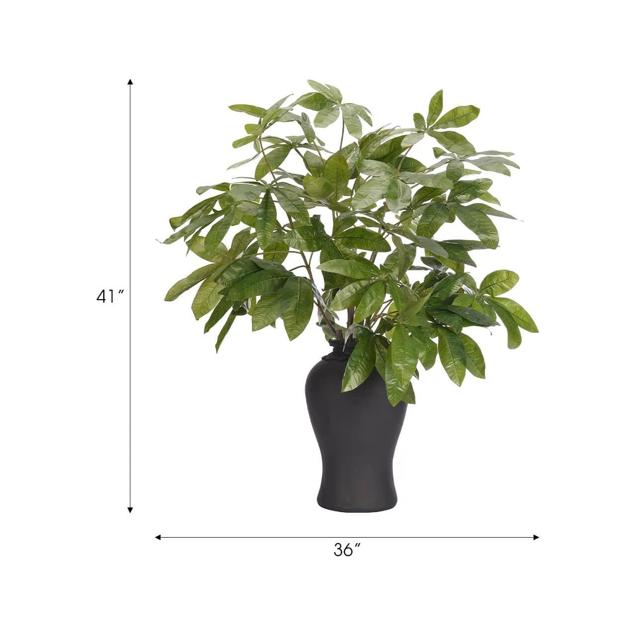 Embrace nature's charm with the green Money Tree Branch, thoughtfully displayed in a resin urn. Reaching 41", it's a graceful addition that enhances small nooks, shelves, or bathroom vanities, adding a refined touch. A stunning addition to any setting, it remains fresh and beautiful, with zero effort required Amethyst Home provides interior design, new home construction design consulting, vintage area rugs, and lighting in the San Diego metro area.