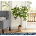 Create a luxurious atmosphere with this green Money Tree, housed in a terracotta pot. Standing at 48", this lifelike faux design adds sophistication, perfect for a dining table centerpiece or console display. A stunning addition to any setting, it remains fresh and beautiful, with zero effort required Amethyst Home provides interior design, new home construction design consulting, vintage area rugs, and lighting in the Des Moines metro area.