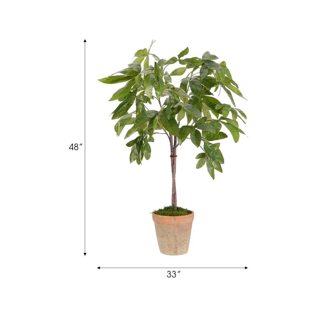 Create a luxurious atmosphere with this green Money Tree, housed in a terracotta pot. Standing at 48", this lifelike faux design adds sophistication, perfect for a dining table centerpiece or console display. A stunning addition to any setting, it remains fresh and beautiful, with zero effort required Amethyst Home provides interior design, new home construction design consulting, vintage area rugs, and lighting in the Laguna Beach metro area.