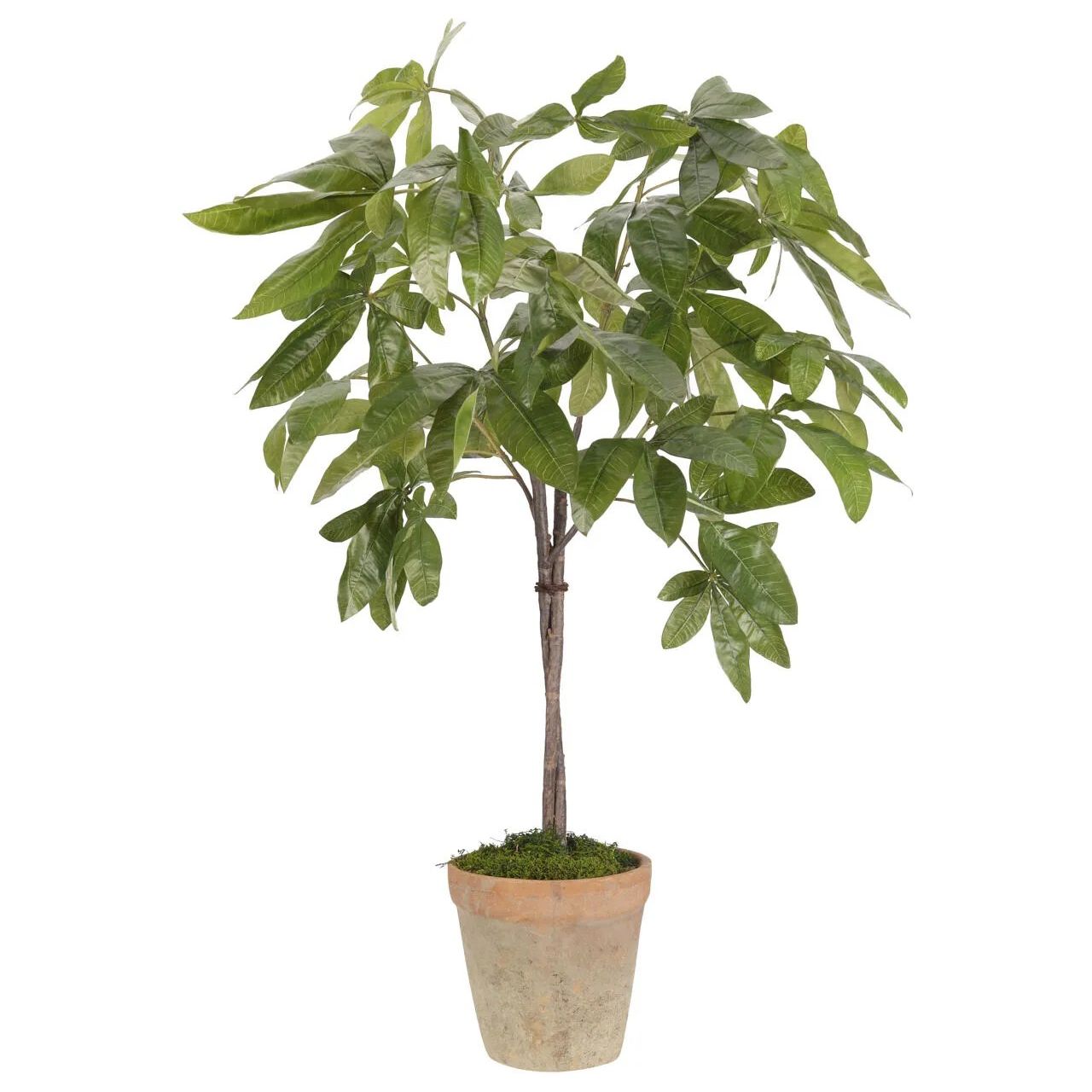 Create a luxurious atmosphere with this green Money Tree, housed in a terracotta pot. Standing at 48", this lifelike faux design adds sophistication, perfect for a dining table centerpiece or console display. A stunning addition to any setting, it remains fresh and beautiful, with zero effort required Amethyst Home provides interior design, new home construction design consulting, vintage area rugs, and lighting in the Park City metro area.