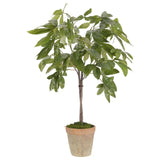 Create a luxurious atmosphere with this green Money Tree, housed in a terracotta pot. Standing at 48", this lifelike faux design adds sophistication, perfect for a dining table centerpiece or console display. A stunning addition to any setting, it remains fresh and beautiful, with zero effort required Amethyst Home provides interior design, new home construction design consulting, vintage area rugs, and lighting in the Park City metro area.