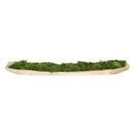Create a luxurious atmosphere with this green Moss Mound, housed in a wood trough. Standing at 4", this lifelike faux design adds sophistication, perfect for a dining table centerpiece or console display. This piece brings everlasting elegance, staying vibrant for any occasion without the hassle of care Amethyst Home provides interior design, new home construction design consulting, vintage area rugs, and lighting in the Park City metro area.