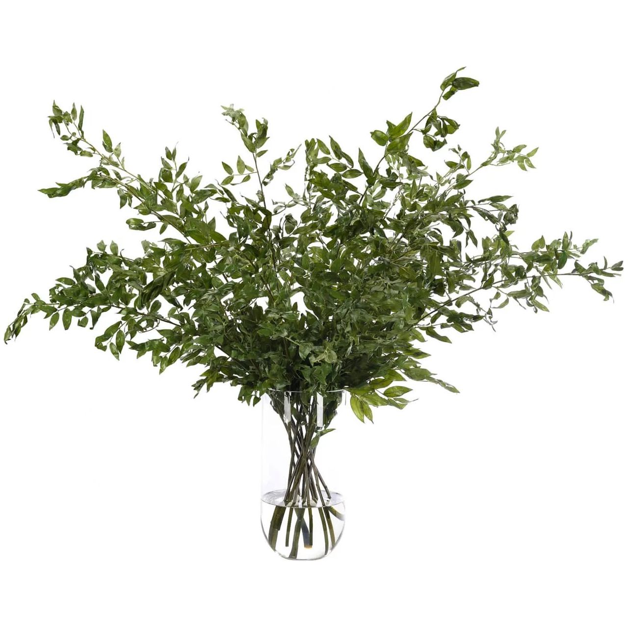 Bring timeless beauty into your home with the green Smilex in a glass vase. Standing at 48" , this lifelike faux design adds sophistication, perfect for a dining table centerpiece or console display. This piece brings everlasting elegance, staying vibrant for any occasion without the hassle of care Amethyst Home provides interior design, new home construction design consulting, vintage area rugs, and lighting in the Des Moines metro area.