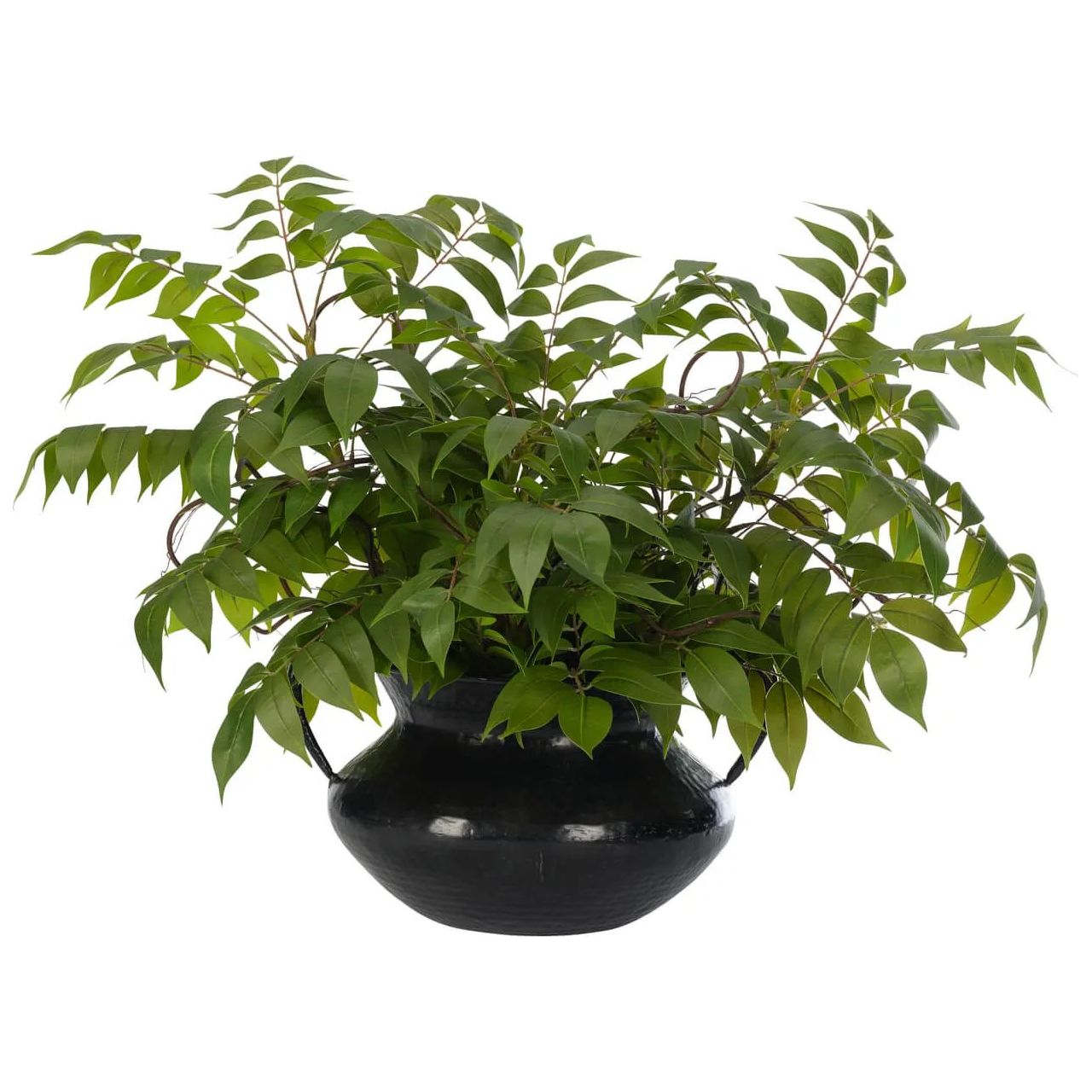 Transform your space with the green Wisteria Leaf, beautifully arranged in a iron pot. Reaching 21", it's a graceful addition that enhances small nooks, shelves, or bathroom vanities, adding a refined touch. Enjoy its lasting beauty year-round, perfect for adding seasonal flair without any upkeep Amethyst Home provides interior design, new home construction design consulting, vintage area rugs, and lighting in the Des Moines metro area.