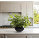 Transform your space with the green Wisteria Leaf, beautifully arranged in a iron pot. Reaching 21", it's a graceful addition that enhances small nooks, shelves, or bathroom vanities, adding a refined touch. Enjoy its lasting beauty year-round, perfect for adding seasonal flair without any upkeep Amethyst Home provides interior design, new home construction design consulting, vintage area rugs, and lighting in the Newport Beach metro area.