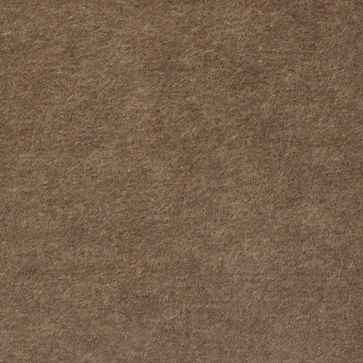 Nevada Mink Grade K | Verellen Fabric Sample