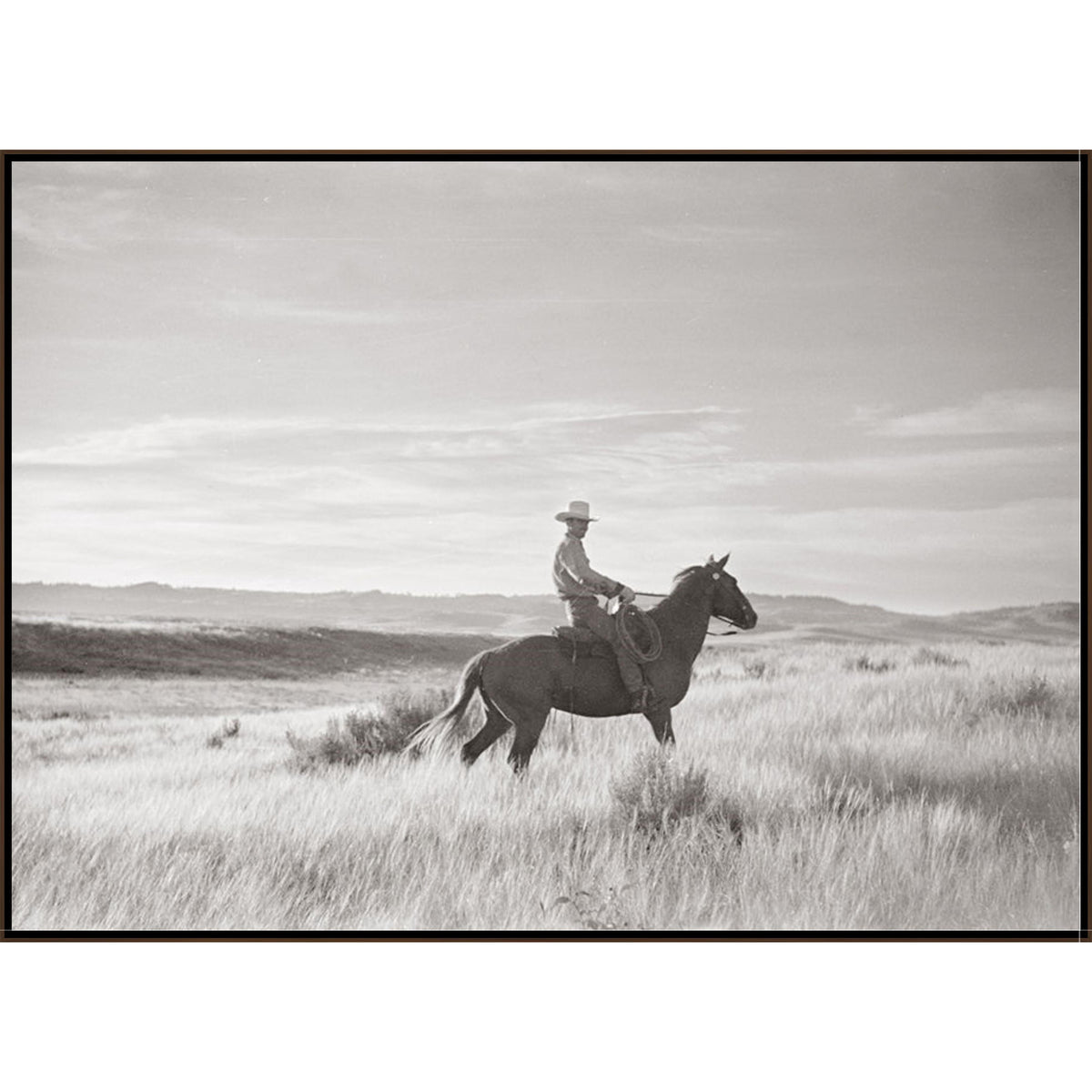 Range Rider Art