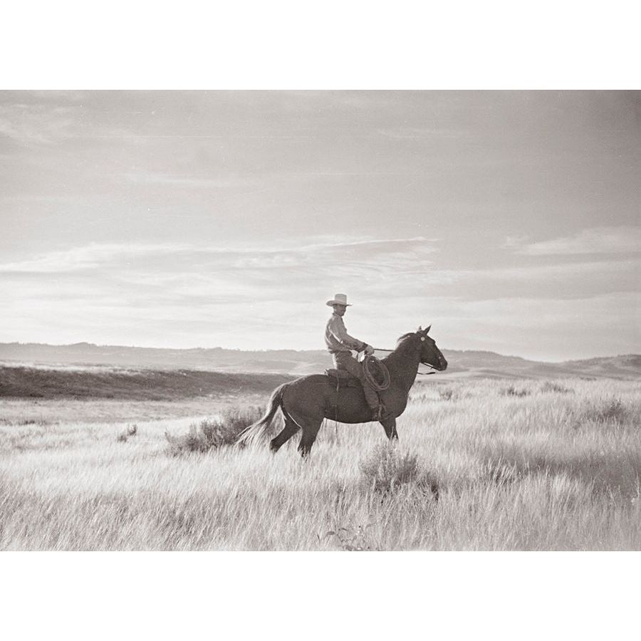 Range Rider Art