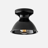 Alabax Large Flush Mount