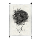 Nest Study #3