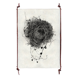 Nest Study #3