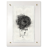 Nest Study #3