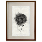 Nest Study #3