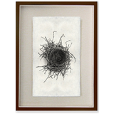 Nest Study #2