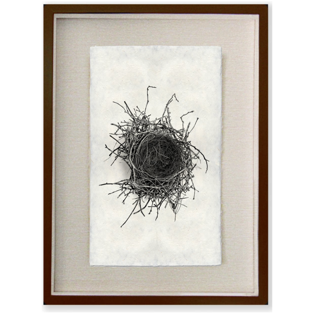 Nest Study #2