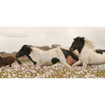 Featuring Wildflower Stallions Art by Wendover Art at Amethyst Home. Wildflower Stallions is stunning photograph with multitudes of movement. This warm bright classic piece is a modern take on a classic statement.
Specialty: Giclee on Matte Paper, Straight Fit (No Mats)
Artist: Nathan Turner Medium: Matte PaperTreatment: Straight Fit (No Mats)Size: 47.5"w x 3.  Amethyst Home provides interior design, new home construction design consulting, vintage area rugs, and lighting in the Boston metro area.
