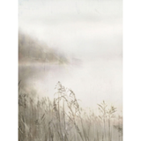 Alluvial Plain Art