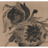 Shaded Flora VIII Art