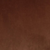Surrey Ochre | Four Hands Sample