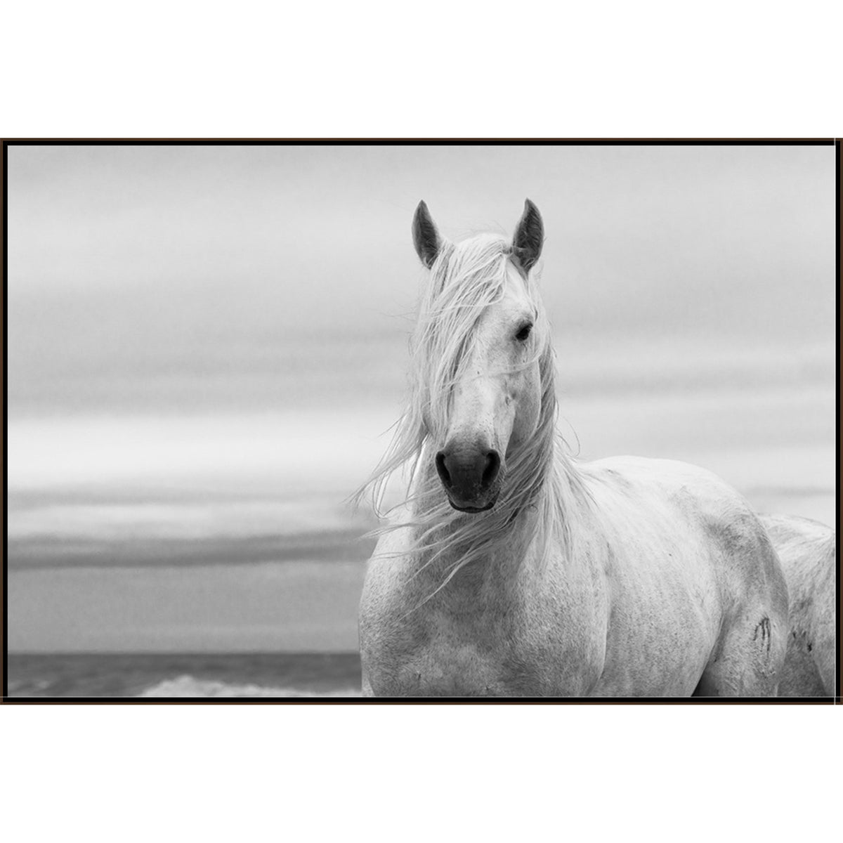 The Noble Horse Art