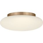 Satin Brass | shipping 11/28/2026