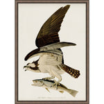 As lovers of modern style at Amethyst, we love the warm modern inspired Fish Hawker Osprey Art. This item pairs well with other brands such as Cisco Home and is perfect for color drenched homes Amethyst Home provides interior design, new home construction design consulting, vintage area rugs, and lighting in the Calabasas metro area.