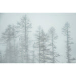 Featuring Misty Trees Floating Art by Wendover Art at Amethyst Home. Experience the calming and ethereal beauty of nature with Misty Trees Art. This stunning piece captures the essence of misty trees in a unique and captivating way. Let it bring a sense of serenity and wonder to any space.
Specialty: Giclee on AcrylicMedium : AcrylicSize : 60"w x 40"hTreat. Amethyst Home provides interior design, new home construction design consulting, vintage area rugs, and lighting in the Washington metro area.