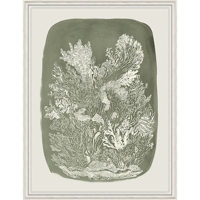Wide Sargasso Sea II Art