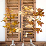 Autumn Stem XL