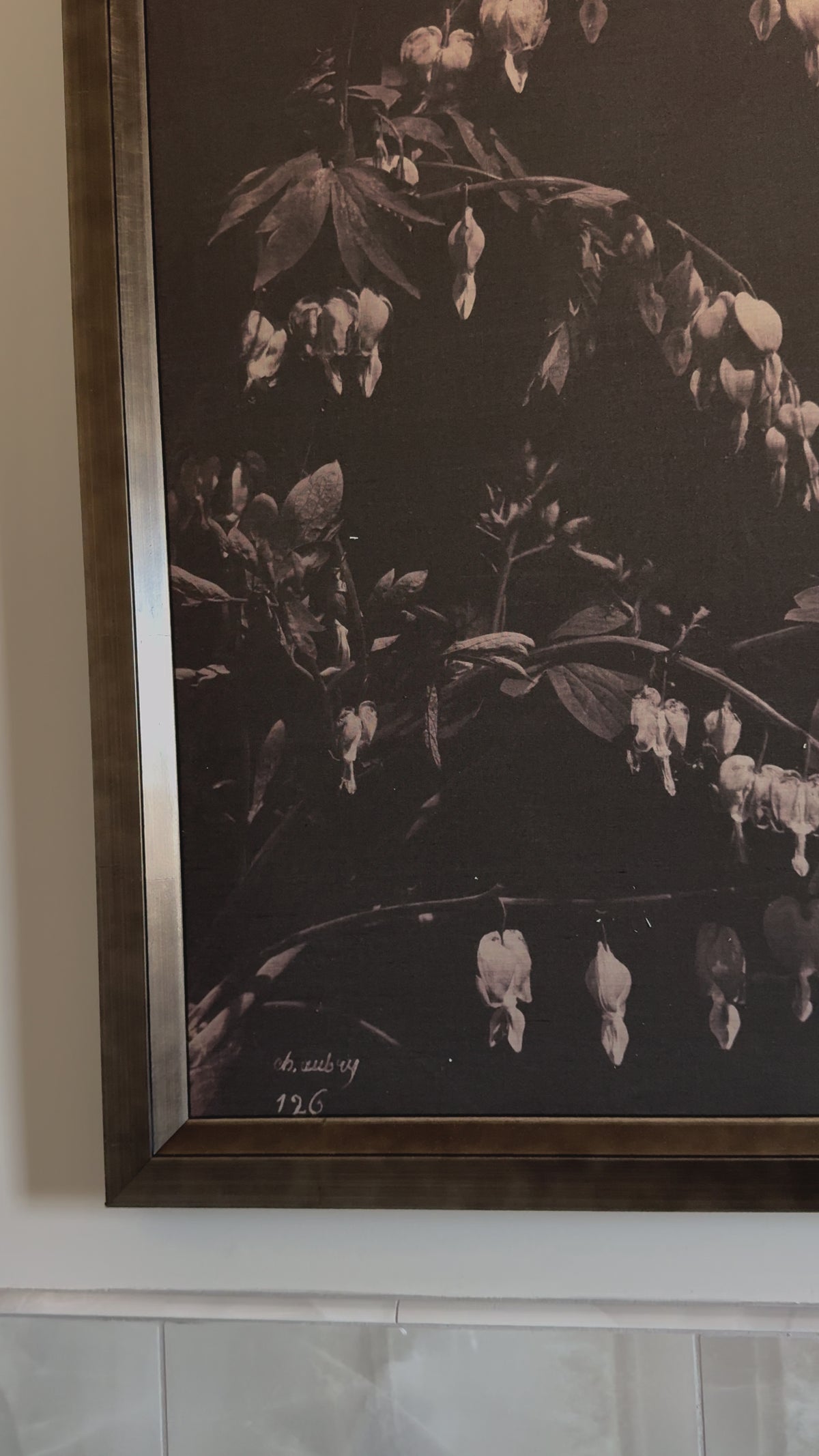 A Bleeding Heart Art