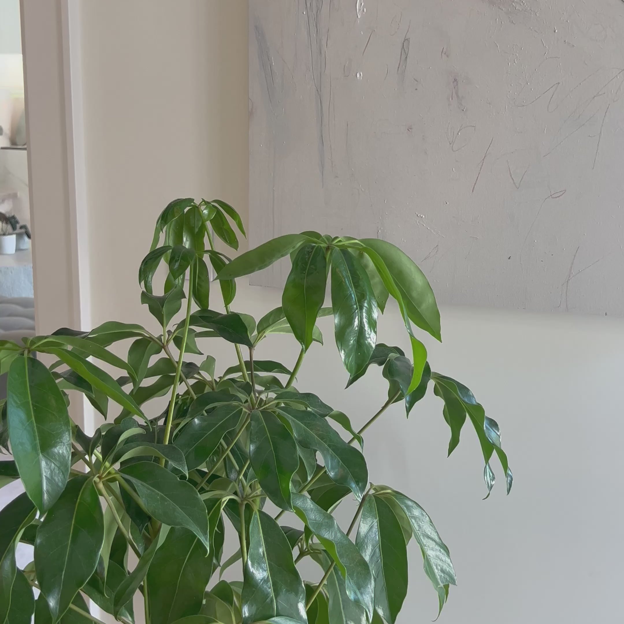 Based in Austin, Texas, abstract-expressionist painter Tyler Guinn looks to texture and organic sensibility to shape his wide variety of works, from geometric pieces and flowing landscapes to mark making and automatic writing. Handmade in Austin, Texas. Framed in a maple gallery box. Amethyst Home provides interior design, new home construction design consulting, vintage area rugs, and lighting in the Alpharetta metro area.